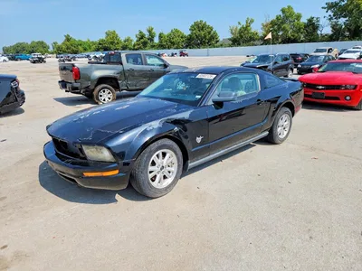 2009 FORD MUSTANG, фото 1, лот 10531537