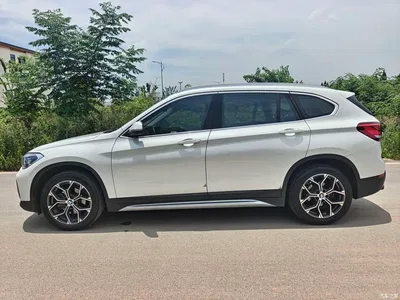 2020 BMW X1 sDrive20Li Premium Edition, фото 3, лот 10406973