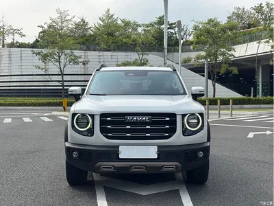 2022 Haval Big Dog 1.5T DCT FWD Border Collie Edition, фото 2, лот 11007244