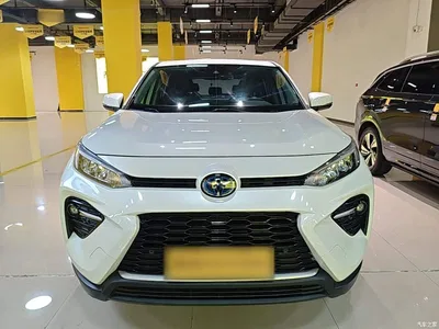 2020 Toyota Wildlander Hybrid 2.5L E-CVT AWD Luxury Edition, фото 3, лот 10384633