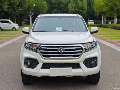 2020 Great Wall Fengjun 7 Model 2.0T Diesel 4WD New Champion Edition Official Large Double Cab GW4D20M, фото 2, лот 11146754