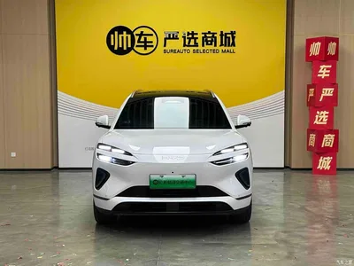 2025 BYD Sealion 06 New Energy DM-i 170 Pilot Pro Edition, фото 2, лот 11252692