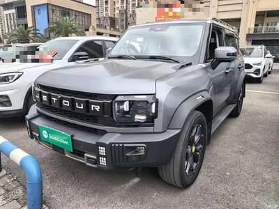 2023 Jetour Traveler Model 2.0T 4WD Cross PRO, фото 1, лот 10434364