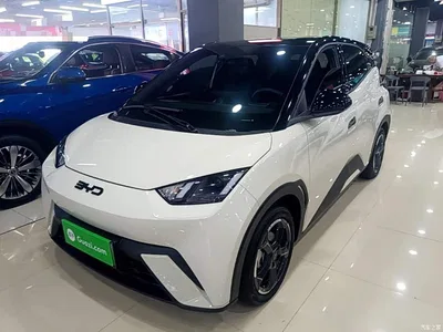 2024 BYD Seagull Glory Edition 405km Soaring Edition, фото 2, лот 10262514