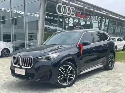 2023 BMW X1 sDrive25Li M Sport Package, фото 1, лот 10465228