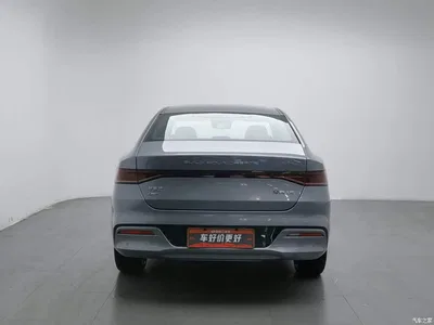 2023 BYD Qin PLUS Champion Edition DM-i 120KM Excellence, фото 4, лот 10392935