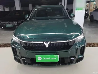 2025 Voyah Auto VOYAH FREE 318 318km RWD Touring Edition, фото 3, лот 10312184
