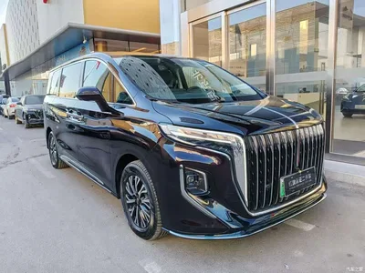 2024 Hongqi HQ9 PHEV Model 2.0T AWD Luxury Edition, фото 3, лот 10288505