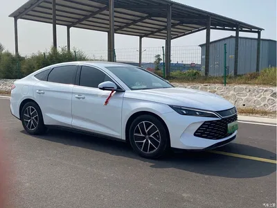 2024 BYD Qin L DM-i 80KM Superior, фото 3, лот 11180918