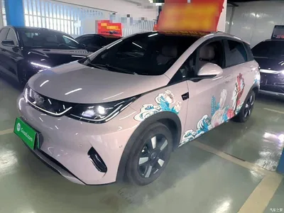 2025 BYD Dolphin Smart Drive Edition 410km Fashion Version, фото 1, лот 10845612