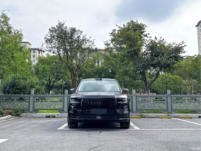 2025 ZEEKR 9X Standard Edition, фото 2, лот 10290728