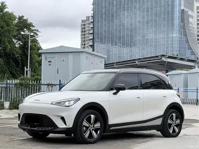 2024 smart Elf #1 Agile Standard Edition, фото 1, лот 10343251