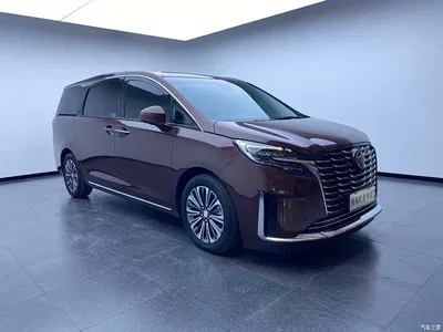 2023 Buick GL8 ES Landmaster Luxury Harmony Edition, фото 4, лот 11249735