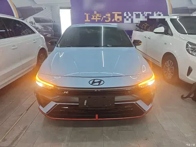 2023 Hyundai Elantra N 2.0T N, фото 3, лот 10478833