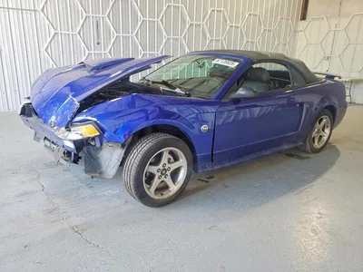 2004 FORD MUSTANG GT, фото 1, лот 10982517
