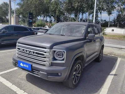 2024 Haval H9 2.0T Gasoline AWD Extreme Edition, фото 1, лот 10415780