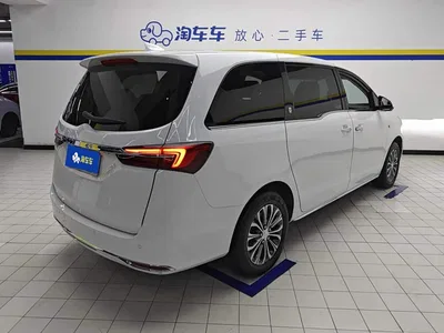 2023 Buick GL8 Land Business Class 652T Luxury, фото 3, лот 10894096