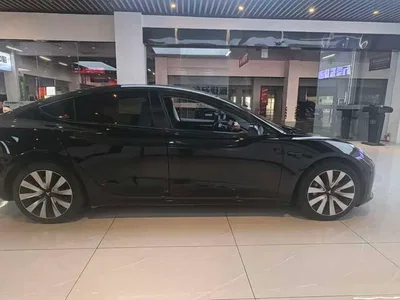 2022 Tesla Model 3 Model Rear-Wheel Drive Version, фото 4, лот 10369118