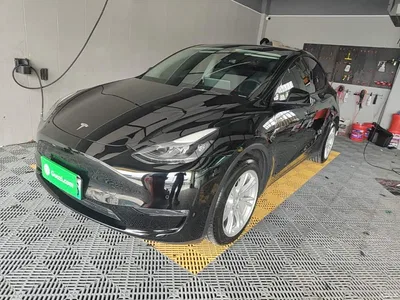 2021 Tesla Model Y Standard Range Rear-Wheel Drive, фото 1, лот 11461619
