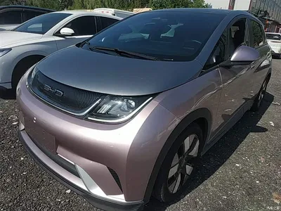 2021 BYD Dolphin 401km Knight Edition, фото 2, лот 10264407