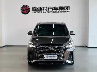 2023 Buick GL8 Land Business Class Premium, фото 2, лот 10245768