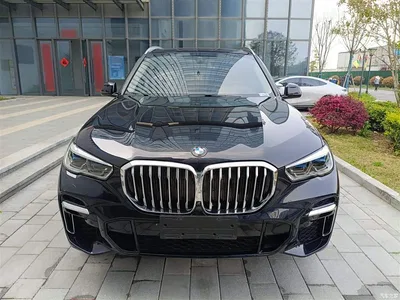 2022 BMW X5 Facelift xDrive 30Li Premium M Sport Package, фото 3, лот 10463543