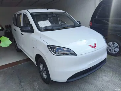 2024 Wuling Motors Wuling Hongguang New Energy Pure Electric 300KM Standard, фото 4, лот 11167262