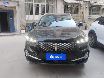 2021 WEY VV6 2.0T 2WD Smart Protection+, фото 2, лот 10800784