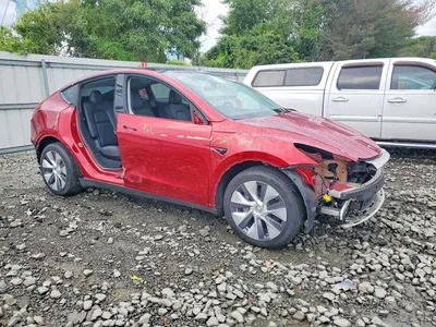 2024 TESLA MODEL Y, фото 4, лот 10855149