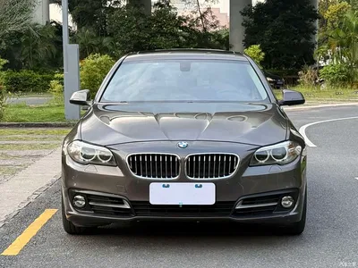 2013 BMW 5 Series 530Li Leadership, фото 2, лот 11097012
