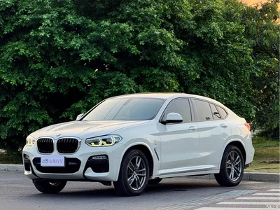 2019 BMW X4 xDrive25i M Sport Package, фото 1, лот 10409681