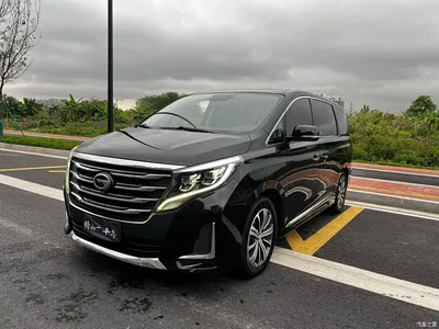 2020 GAC Trumpchi Trumpchi M8 Pilot 390T Prestige Edition, фото 1, лот 10418350