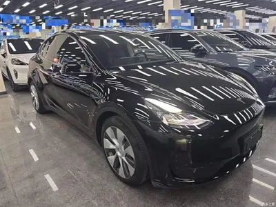 2022 Tesla Model Y Rear-Wheel Drive Version, фото 4, лот 11219617