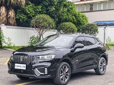 2020 WEY VV5 1.5T 2WD Style Pioneer, фото 1, лот 10451817