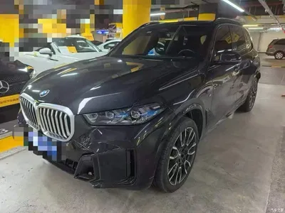 2023 BMW X5 xDrive 40Li M Sport Black Night Package, фото 1, лот 11438230