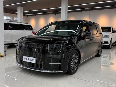 2024 ZEEKR 009 6-seat Executive AWD 108kWh, фото 1, лот 10895015