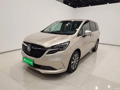 2021 Buick GL8 ES Landlord 653T Comfort, фото 2, лот 10262370