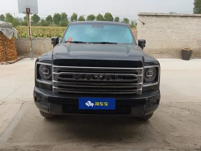 2024 Haval H9 2.0T Gasoline AWD Extreme Edition, фото 2, лот 11199864
