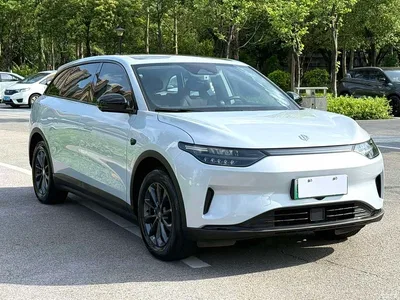 2023 Leapmotor C11 Pure Electric 500 Smart Edition, фото 3, лот 10679943
