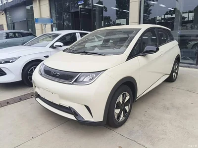 2025 BYD Dolphin 420km Freedom Edition, фото 1, лот 10593127