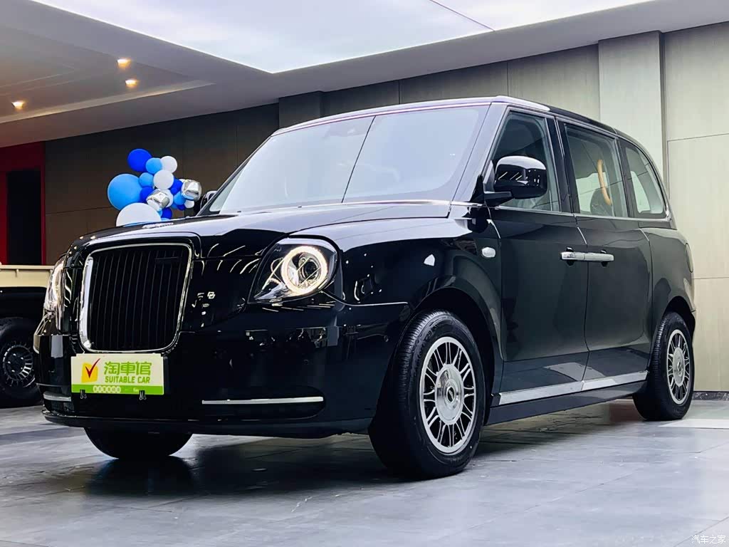 2023 LEVC TX TX5 Extended Range Travel Edition, фото 1, лот 10312757