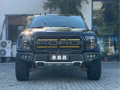 2019 Ford F-150 Raptor 3.5T Raptor Performance Enhanced Edition, фото 2, лот 10297102
