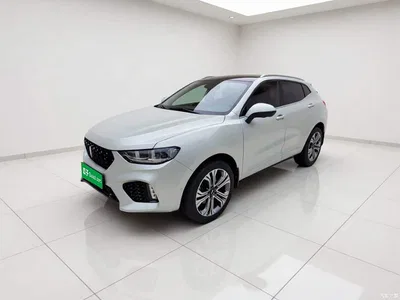 2017 WEY VV5 2.0T Flagship Model, фото 1, лот 10889711