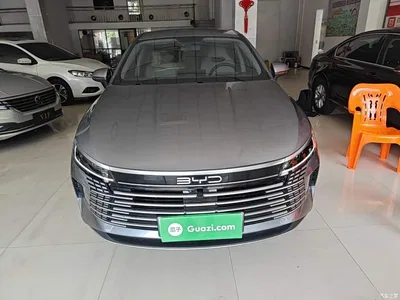 2024 BYD Destroyer 05 Glory Edition DM-i 55KM Luxury, фото 3, лот 10481453