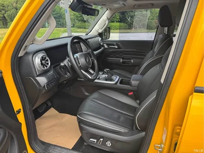 2022 Tank 300 2.0T Border Limited Edition, фото 4, лот 10889827