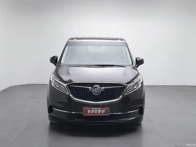 2017 Buick GL8, фото 3, лот 10242993