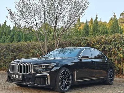 2016 BMW 7 Series 730Li Luxury, фото 1, лот 10899233