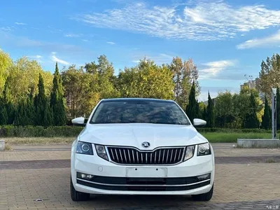 2019 Škoda Octavia 1.5L Automatic Luxury Edition, фото 2, лот 10886880