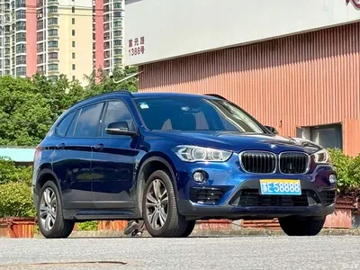 2018 BMW X1 xDrive20Li Luxury Model, фото 4, лот 10307109