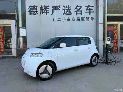 2020 Ora White Cat 360km Standard Model, фото 2, лот 10332179